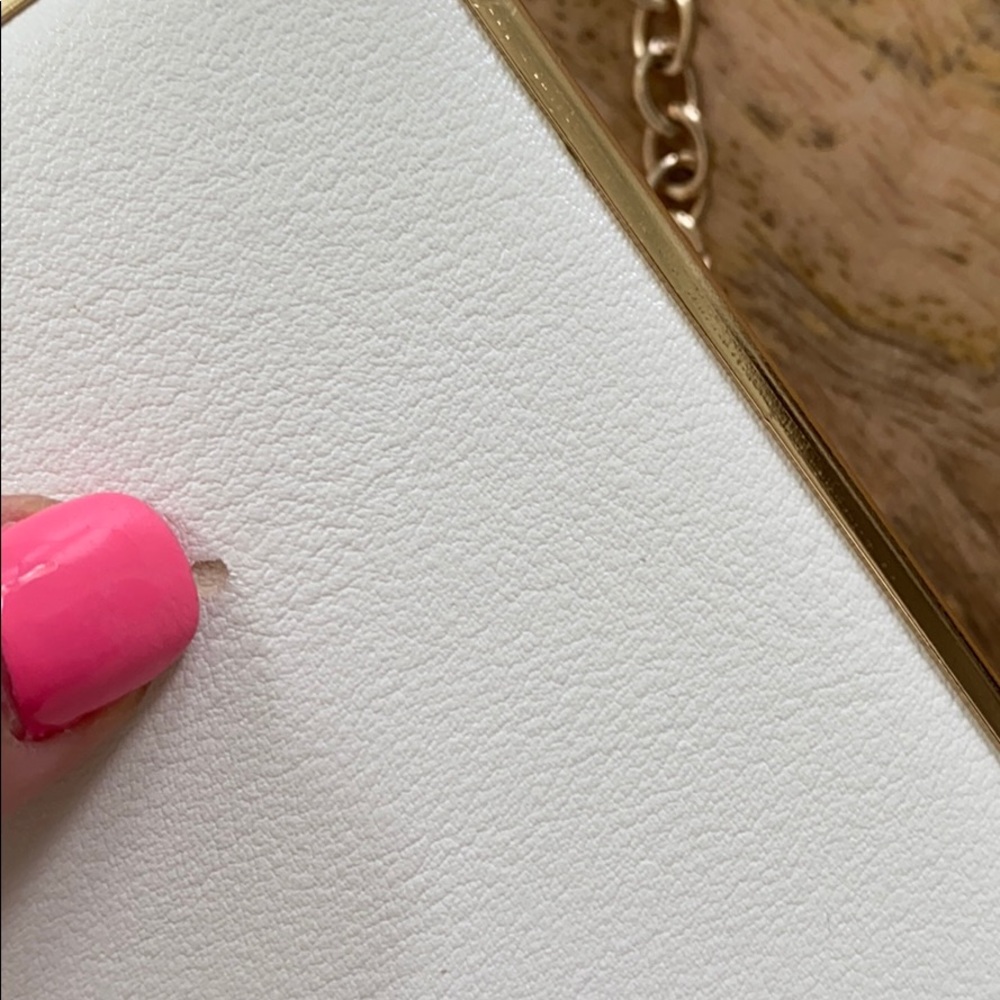 NWT Aldo WIFEY Clutch Bag_9